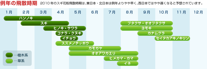 かかってこい 花粉症